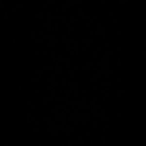 Meet your Posher, Felipe